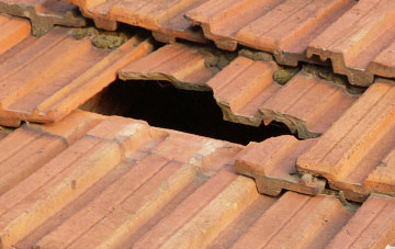 roof repair Bryn Tanat, Powys